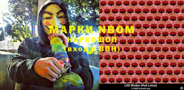 молекула духа Алзамай