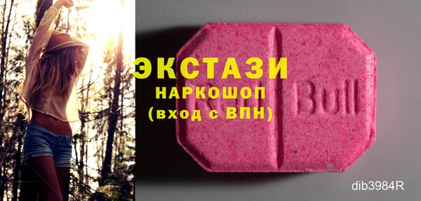 гашик Алексин