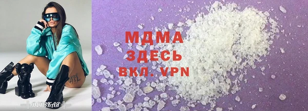 гашик Алексин