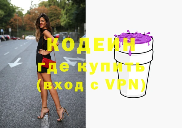 гашик Алексин